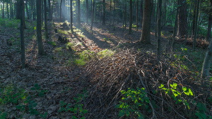 Fototapety na wymiar - Fototapeta24.pl