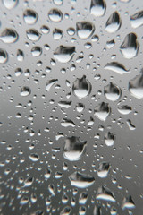 Drops of rain on the window