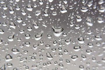 Drops of rain on the window