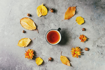 Cup of hot tea decorated by yellow autumn leaves, aster flowers and acorns over grey texture background. Flat lay, space. Seasonal background.