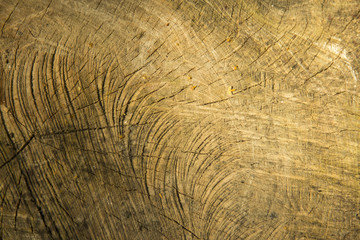 Fototapeta premium The bacground texture