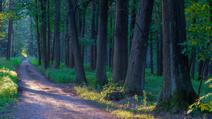 Obraz premium SONY DSC