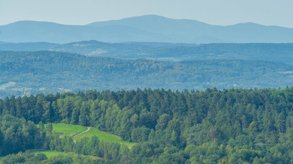 SONY DSC © Michal45