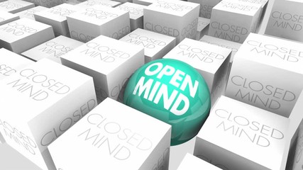 Open Vs Closed Mind Accepting New Ideas Sphere in Cubes 3d Animation