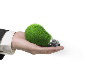 Male hand holding one light bulb with green grass, isolated on white background, concept of ECO and...
