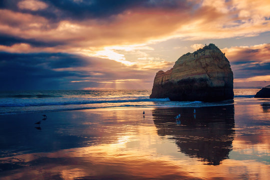 Fototapeta beautiful stunning magical ocean landscape, coast of Portugal, the Algarve at sunset, clouds reflected on the sand
