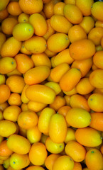 Kumquats are a group of small fruit-bearing trees in the flowering plant family Rutaceae.