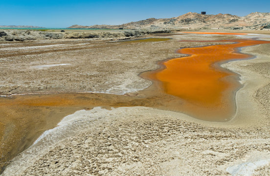 Lagune von L&uuml;deritz, Rotalgen im Brackwasser, Namibia