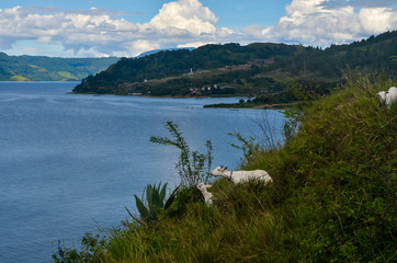 Fototapeta premium Lake Toba, North Sumatra, Indonesia