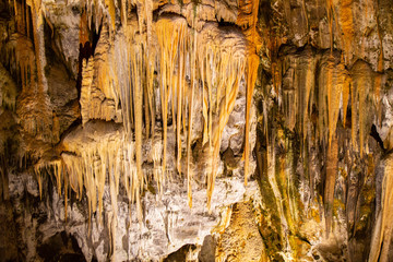 Fototapeta premium Postojna cave, Slovenia