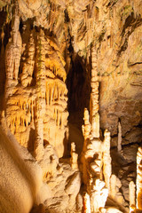Postojna cave, Slovenia
