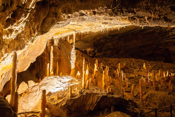 Postojna cave, Slovenia