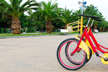 View of beautiful city street with palm trees, city park with walking double bike. Batumi, Georgia. Empty place for text, copy space.
