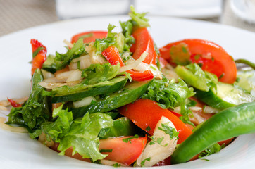 Healthy natural food, fresh salad with vegetables in plate - cucumbers, tomato, greens, close up. Shallow depth of field. Concept of vegetarianism, low calorie diet, weight loss, proper nutrition