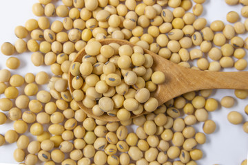 soy beans on wooden spoon