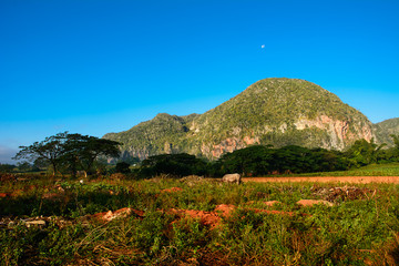 Fototapeta na wymiar Panorama of the Vinales Valley with the Mogotes