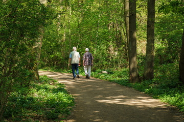 Senioren beim Waldspaziergang