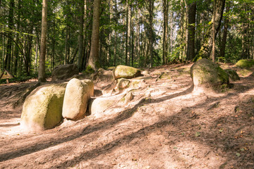 Magical Pokaini Forest