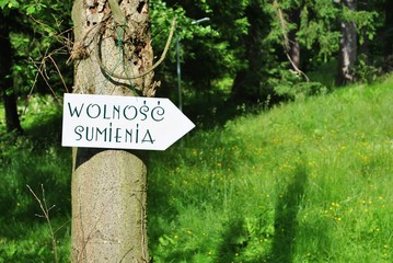 Wolność sumienia © bnorbert3