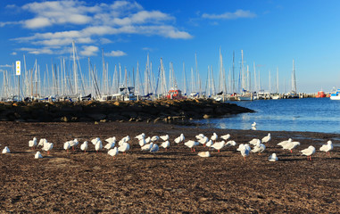 Geelong  Victoria, Australia - February 17 2012:Cunningham Pier and Geelong waterfront on a warm...
