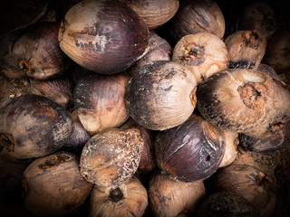Pile of Dry Coconuts