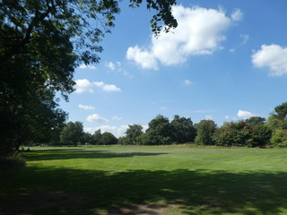 Fototapeta premium Tee 3 on the golf course