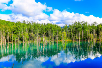 Blue pond