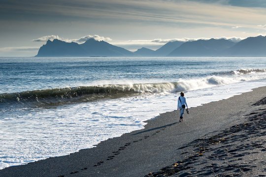 Hvalnes coast of Iceland
