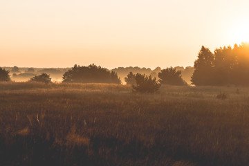 morning on meadow. sunrise landscape photo with vintage effect
