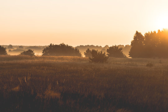 morning on meadow. sunrise landscape photo with vintage effect © irontrybex