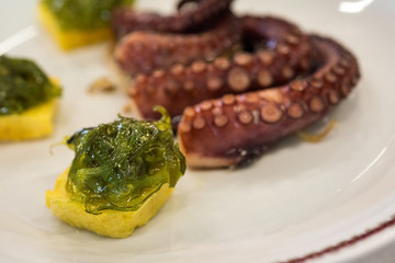 polipo, octopus