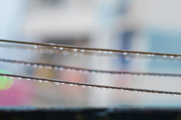 Rain Drops on rope