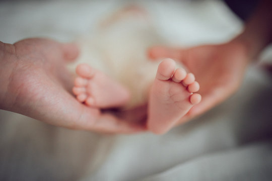 夫婦の手と赤ちゃんの足  Couple's hands and baby feet