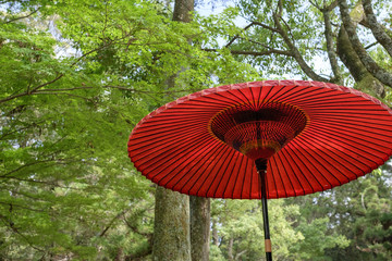 赤い傘