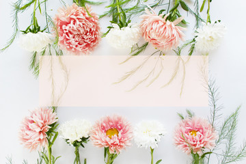 White and peach asters on white isolated background