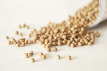 isolated photo of chickpea. white background