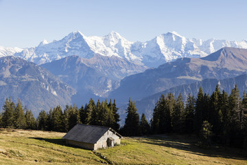 Autumn alpine landscape with huts on the Niederhorn in the Bernese Oberland in Switzerland with...