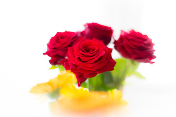 photo of red roses