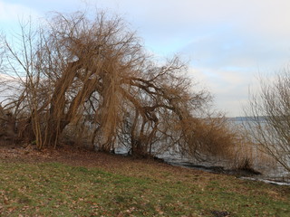 Plauer See im Winter