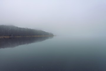 Nebel am See im Winter