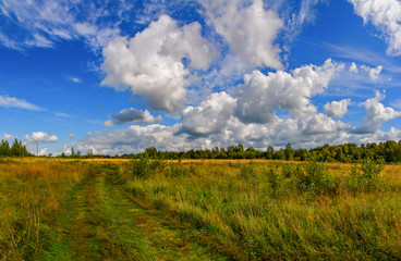 Fototapeta premium Landscape with clouds in the summer sky. The last days of August.