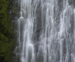 Fototapeta na wymiar Marymere Falls, Olympic National Park, Washington