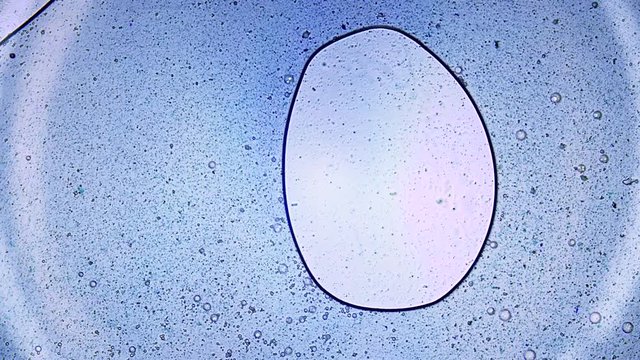 Bleach liquid flowing filmed under a microscope super macro shot