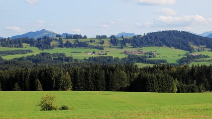 Anhöhe im Spätsommer, Allgäu