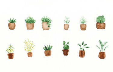 Watercolor green plants in pots