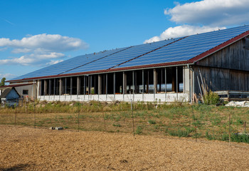 Fototapeta na wymiar Rinderstall mit Solarpanel auf dem Dach