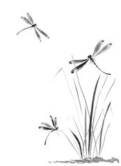 Dragonfly and grass. Watercolor and ink illustration in style sumi-e, u-sin, go-hua Oriental traditional painting. Isolated . - obrazy, fototapety, plakaty