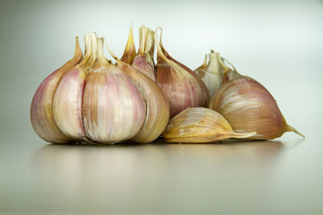 Garlic in white background  