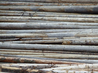Obraz premium Background of logs
