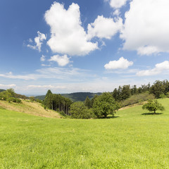 Obraz premium Schwarzwaldsommertag